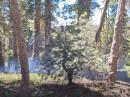 Fire smolders, days after a lightning strike. [Bobby Debevec, W6IWN, photo via YouTube]
